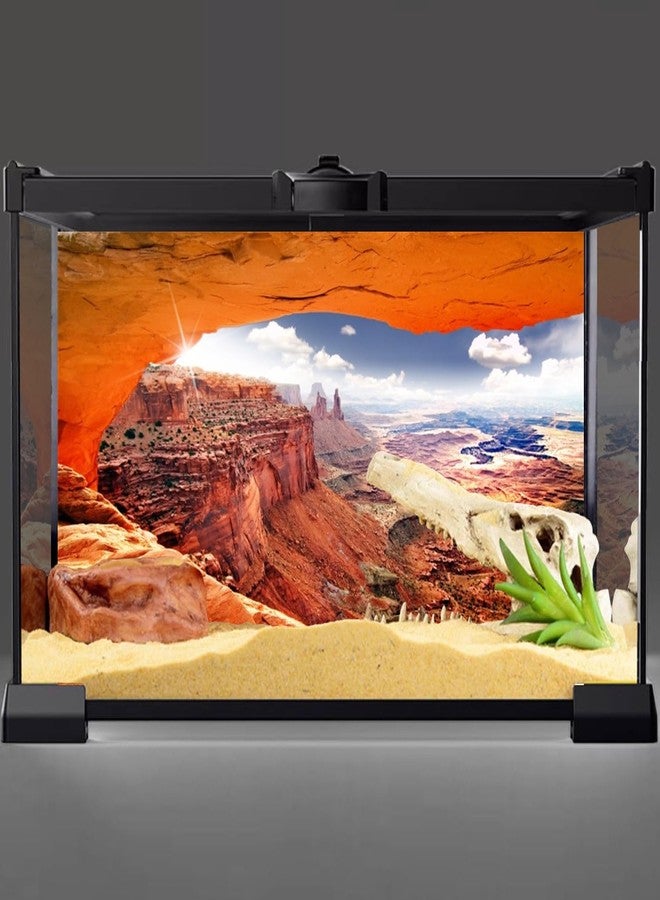AWERT Stone Reptile Habitat Background Sky Oasis Mountain Cactus Sun and Desert Terrarium Background 48x24 inches Polyester Background - Image 4